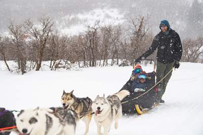 Deer-Valley_Sled-Dogs_Arctic-Rescue_Schirf-Mike